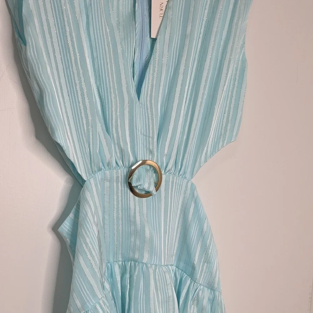 Torn by Ronny Kobo CASSIE SLEEVELESS DRESS - Picture 5 of 9